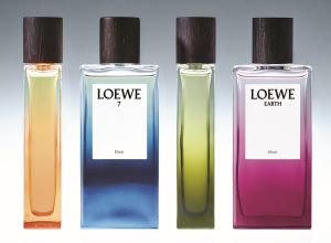 Parfums à découvrir…